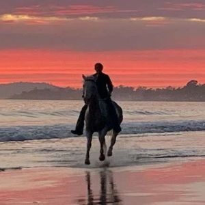 Meet your Posher, Isabella